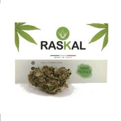 Lemon Haze Hemp Legal