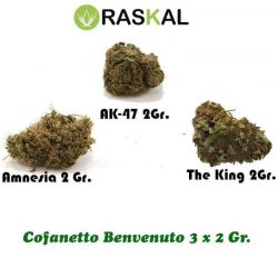 Offer Erba Light
