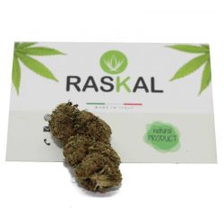 legal herb gorilla glue