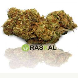 legal herb gorilla glue