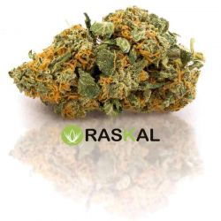 Legal Marijuana Online