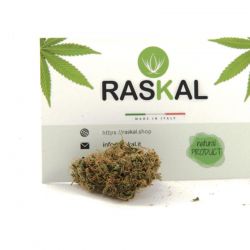Amnesia Haze - 4