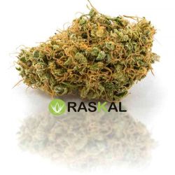 Amnesia Haze