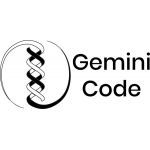 Gemini Code